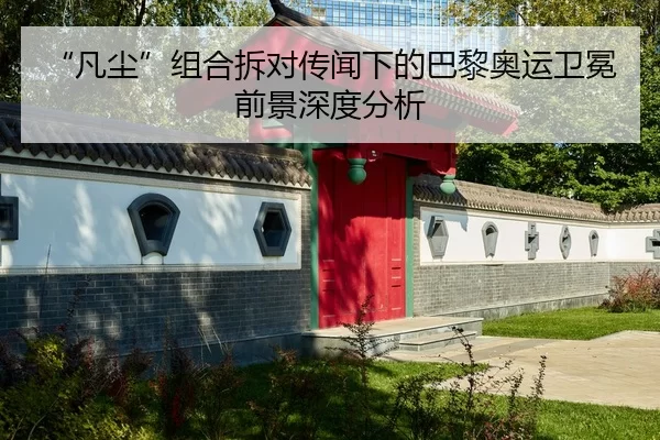 fan-chen-zu-he-chai-dui-chuan-wen-xia-de-ba-li-ao-yun-wei-mian-qian-jing-shen-du-fen-xi-2-414.jpg