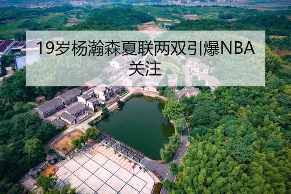 19岁杨瀚森夏联两双引爆NBA关注